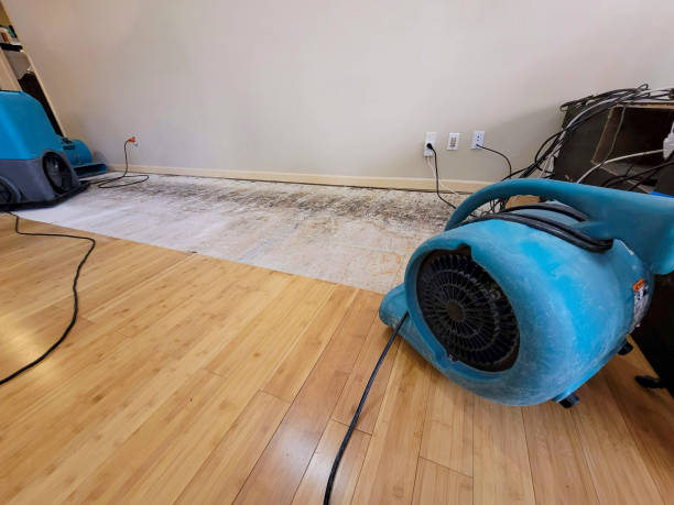 Professional Water Damage Repair technician working in Churchville, NY